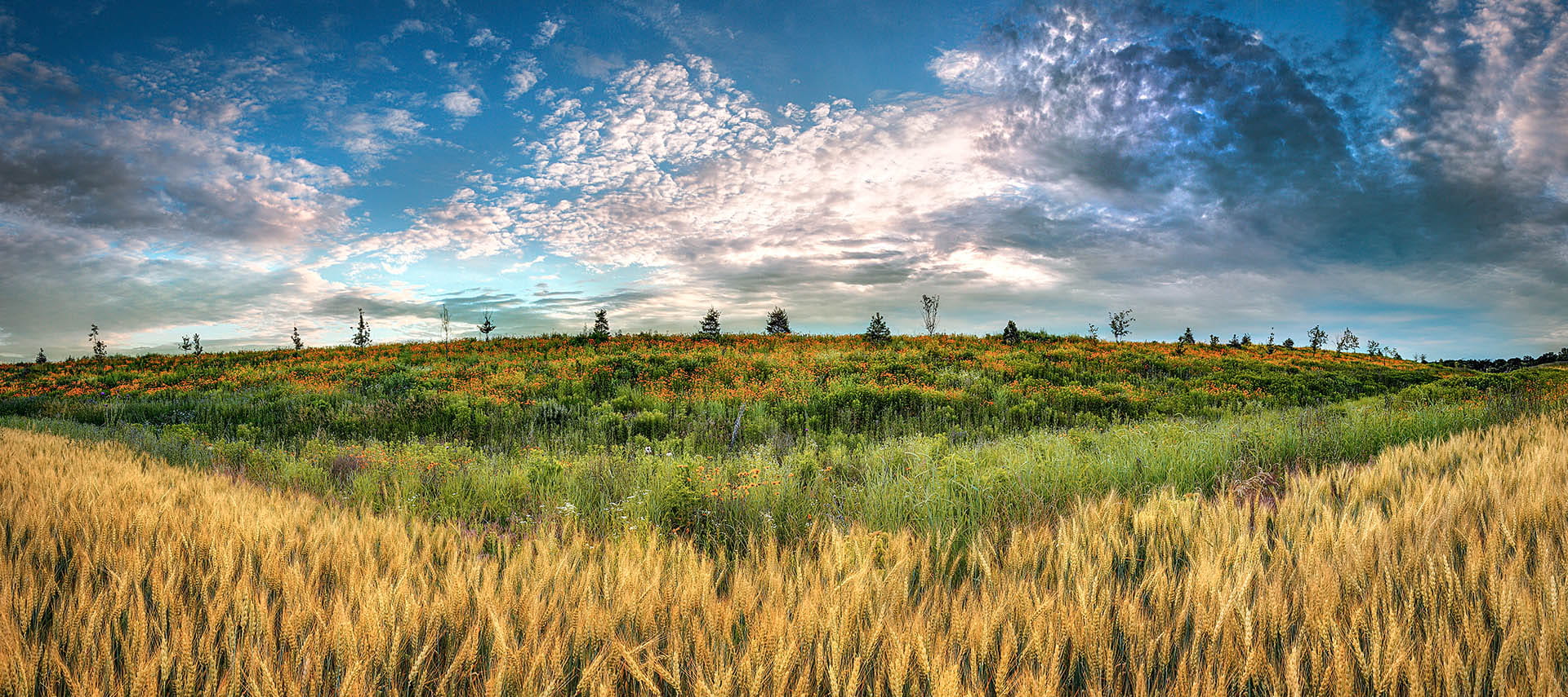 Investment Strategies Access Capital Wichita, KS